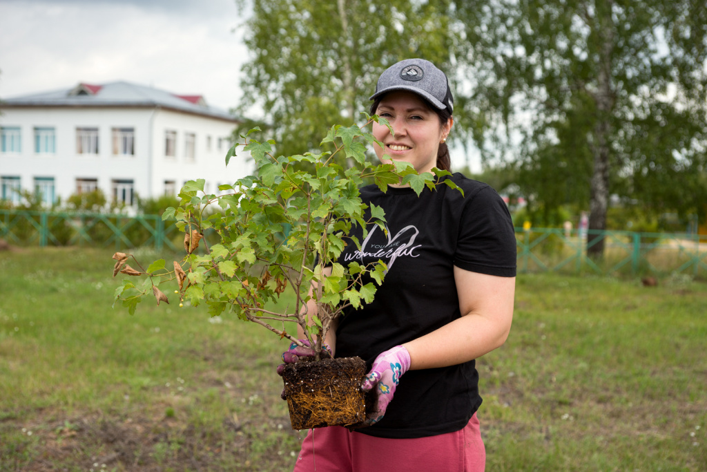 Высадка деревьев (5).jpg